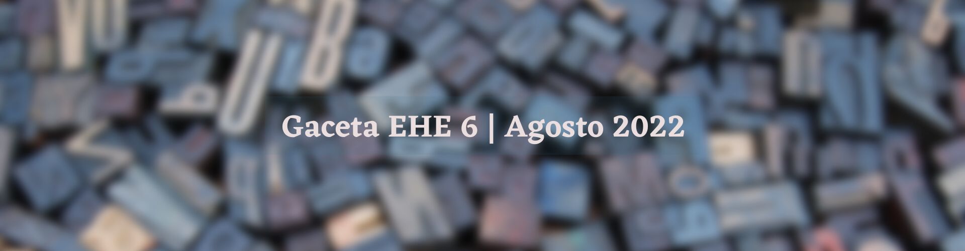 Gaceta EHE 6